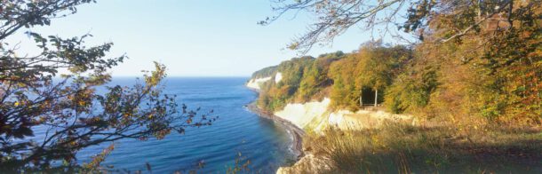 Kreidefelsen im Herbst